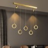 Acrylic Ring Light Fixture with LED Pendant Light