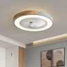 Bedroom Decor Ventilator Lamp Smart Ceiling Fan With Light Remote Control