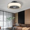 For Bedroom Restaurant Postmodern Led Ceiling Fan Lamp Remote Control Light