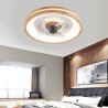 Ceiling Light Fan Lamp Modern Inverter Ceiling Fan With Light Remote Control
