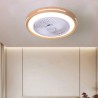 Intelligent Ceiling Fan with Stepless Dimming Light for Kitchen, Dining Room, and Bedroom Decoration