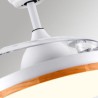 Dimmable Modern LED Inverter Ceiling Fan Light Remote Control Ceiling Lamp Tricolor
