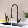 Brass Sink Mixer Tap with Pull Down Dual Function Sprayer in Black Commercial Kitchen Faucet