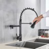 Stainless Steel Spring Dual Spout Tap Black Kitchen Faucet