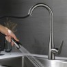 Kitchen Sink Faucet with Single Handle and Pull Out Sprayer