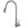 Pull Down Kitchen Sink Faucet in Stainless Steel with Pull Out Sprayer