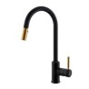 Black/Gold Kitchen Tap with Pull Out Spray Single Handle Sink Faucet