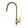 Black/Gold Kitchen Tap with Pull Out Spray Single Handle Sink Faucet