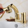 Luxurious Pull-out Tap with Liftable Golden Faucet