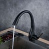 Kitchen Faucet Pull Out Sprayer Baking Varnish Matte Black Sink Tap Mixer with 360 Degree Swivel Nozzle