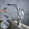 Chrome Single Handle Pull-Down Sprayer Kitchen Faucet