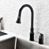 Black Kitchen Pull Out Faucet with Double Hole and Single Handle