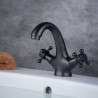 Oil-rubbed Bronze Water Mixer Tap with a Single Hole in Black