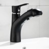 Optional Chrome / Black Pull-out Basin Faucet (Short)