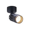 Black LED Ceiling Spotlight with Rotatable COB (Single Light)
