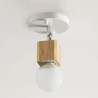 Modern White Aisle Ceiling Light with Mini Spotlight (Single Light)