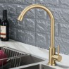 Stainless Steel Kitchen Sink Faucet with Swivel Nozzle and 360 Degree Rotatable Spout in Brushed Gold