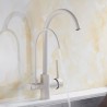 Modern Kitchen Tap with Double Spouts and Purification Function in Oat Color