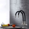 Black Rubber Kitchen Tap with Double Spouts Omni-directional Kitchen Faucet
